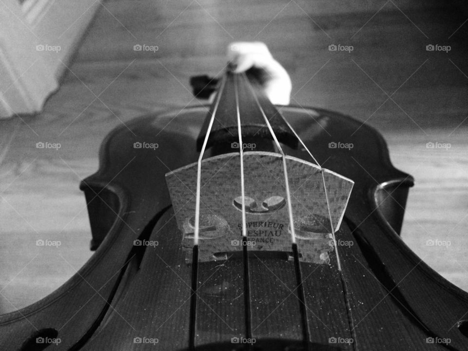 My violin 