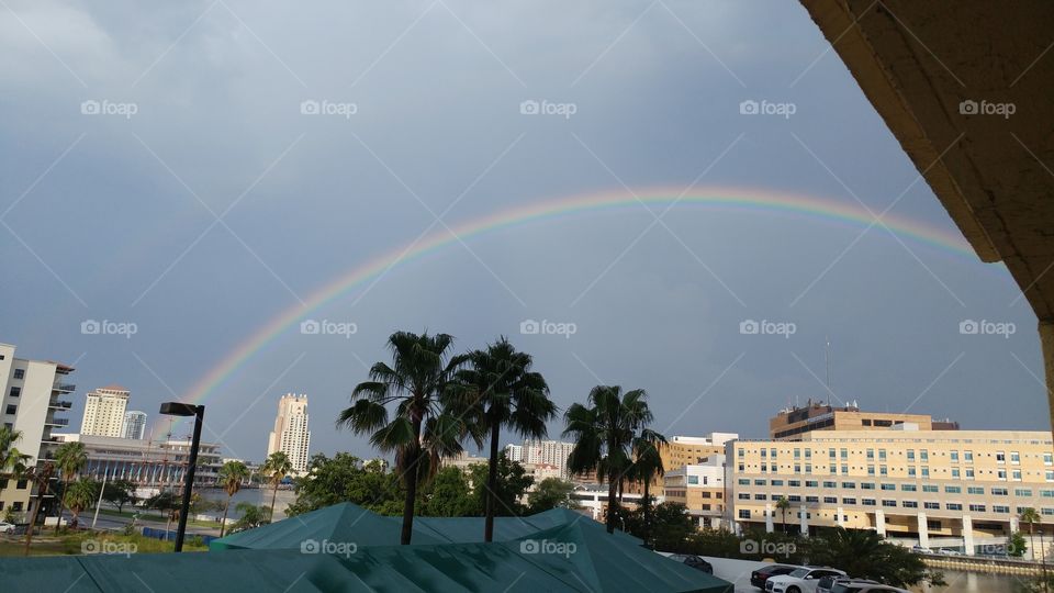 Tampa Summer Rainbow