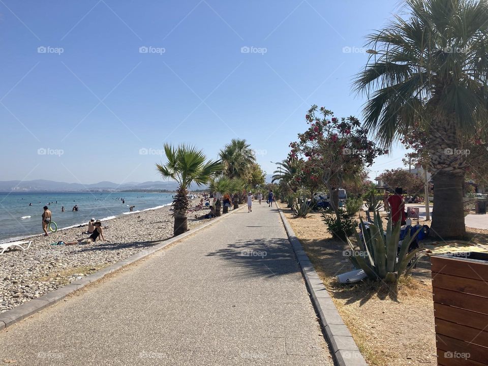 Sunny holidays I’m Turkey. Walk in the cute city and charming streets by the beach in Kusadasi. perfect blue sky and ocean view. Beach and the shore. To travel is to live. Gorgeous tall palm trees.