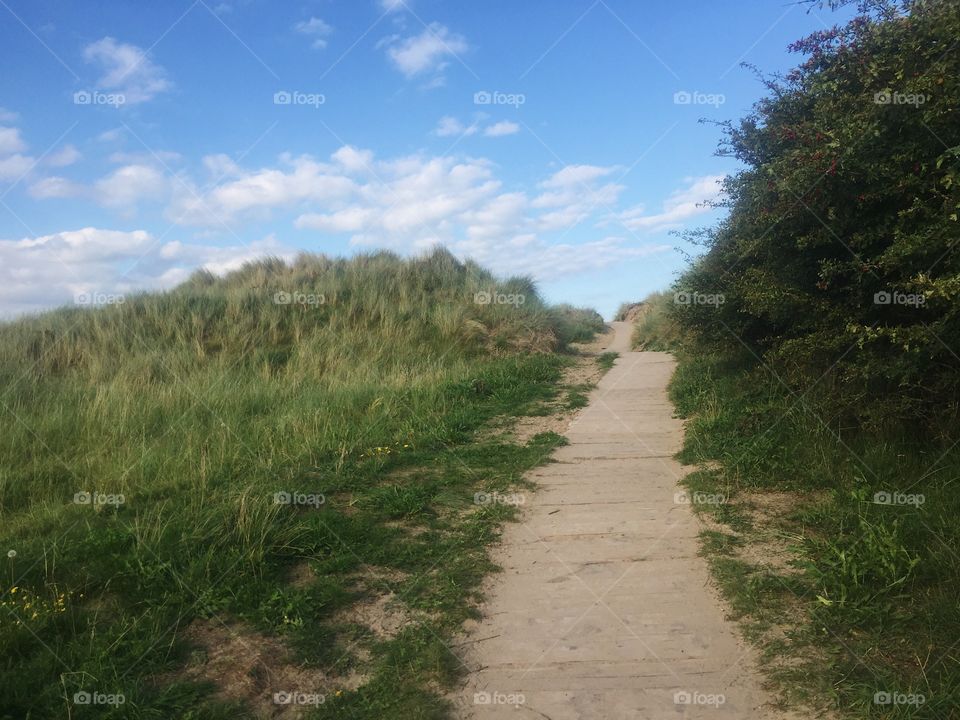 Landscape, Nature, No Person, Sky, Tree