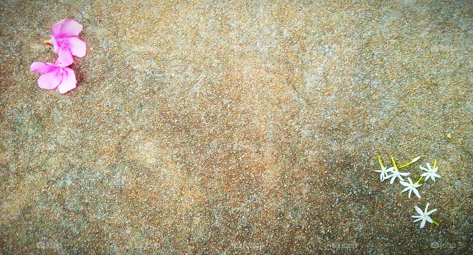 floor background with flowers