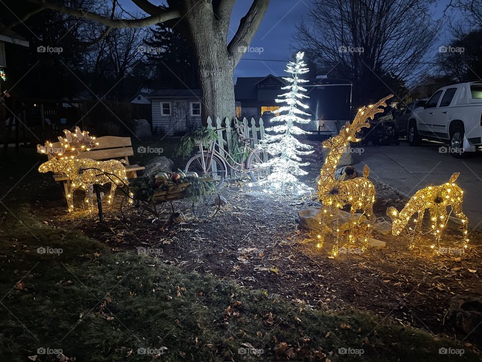 Getting decorated For Christmas 