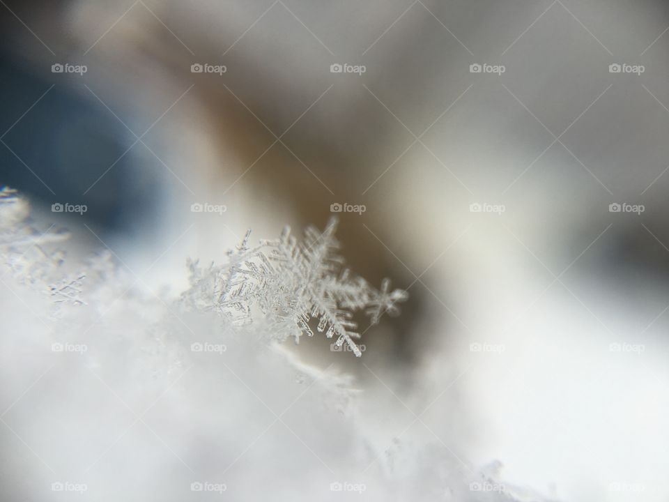 Close-up of snowflake