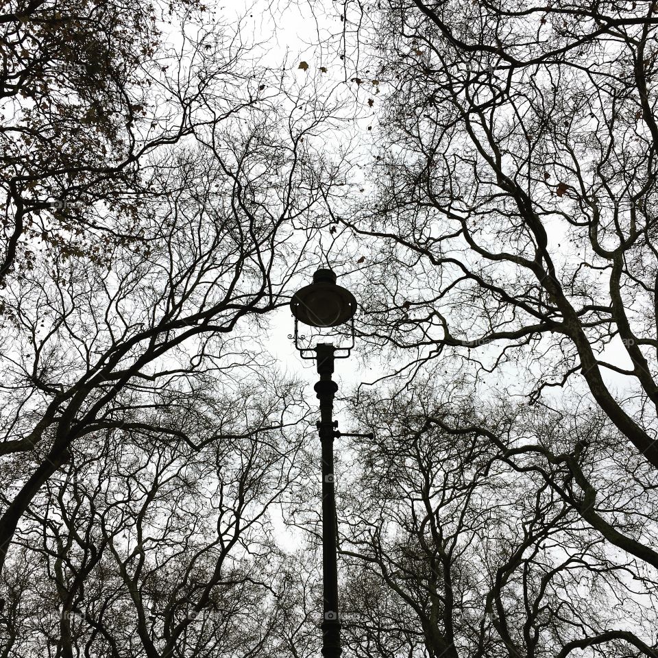 Winter in Hyde Park