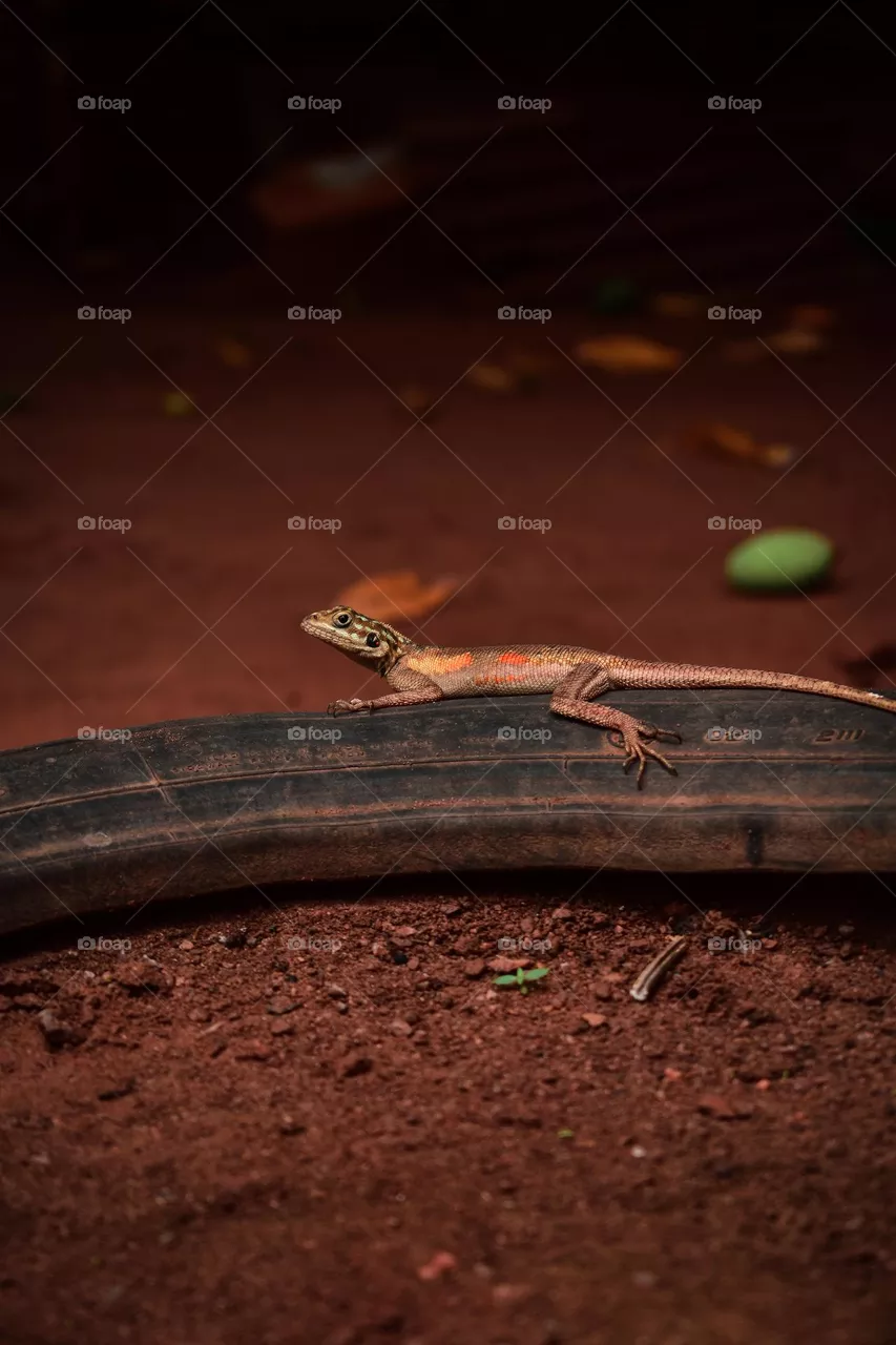 And he paused just for me to take that shot