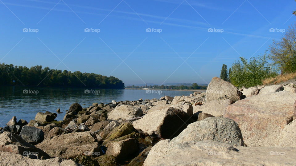 Rhein