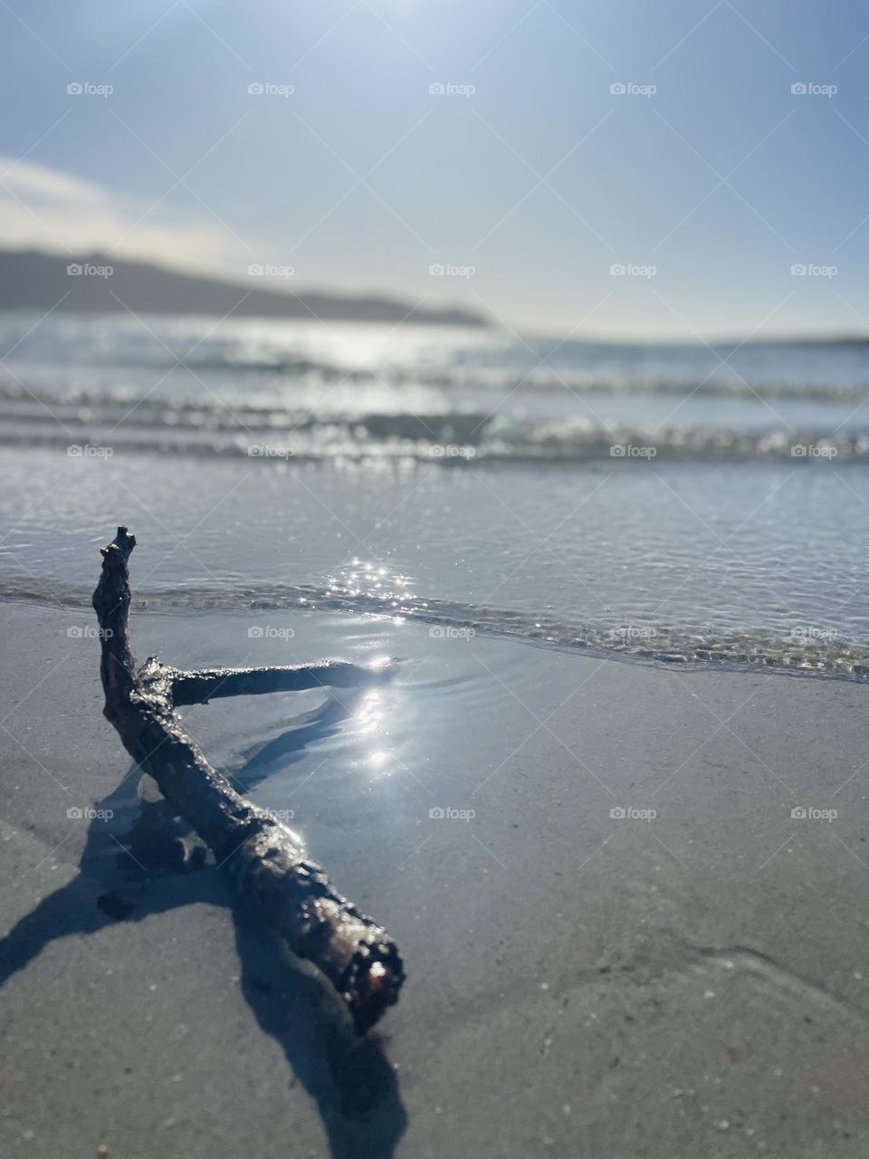 Moments like these, comfort to the soul. 