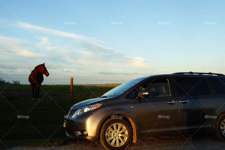 Minivan on country road with horse in background.
