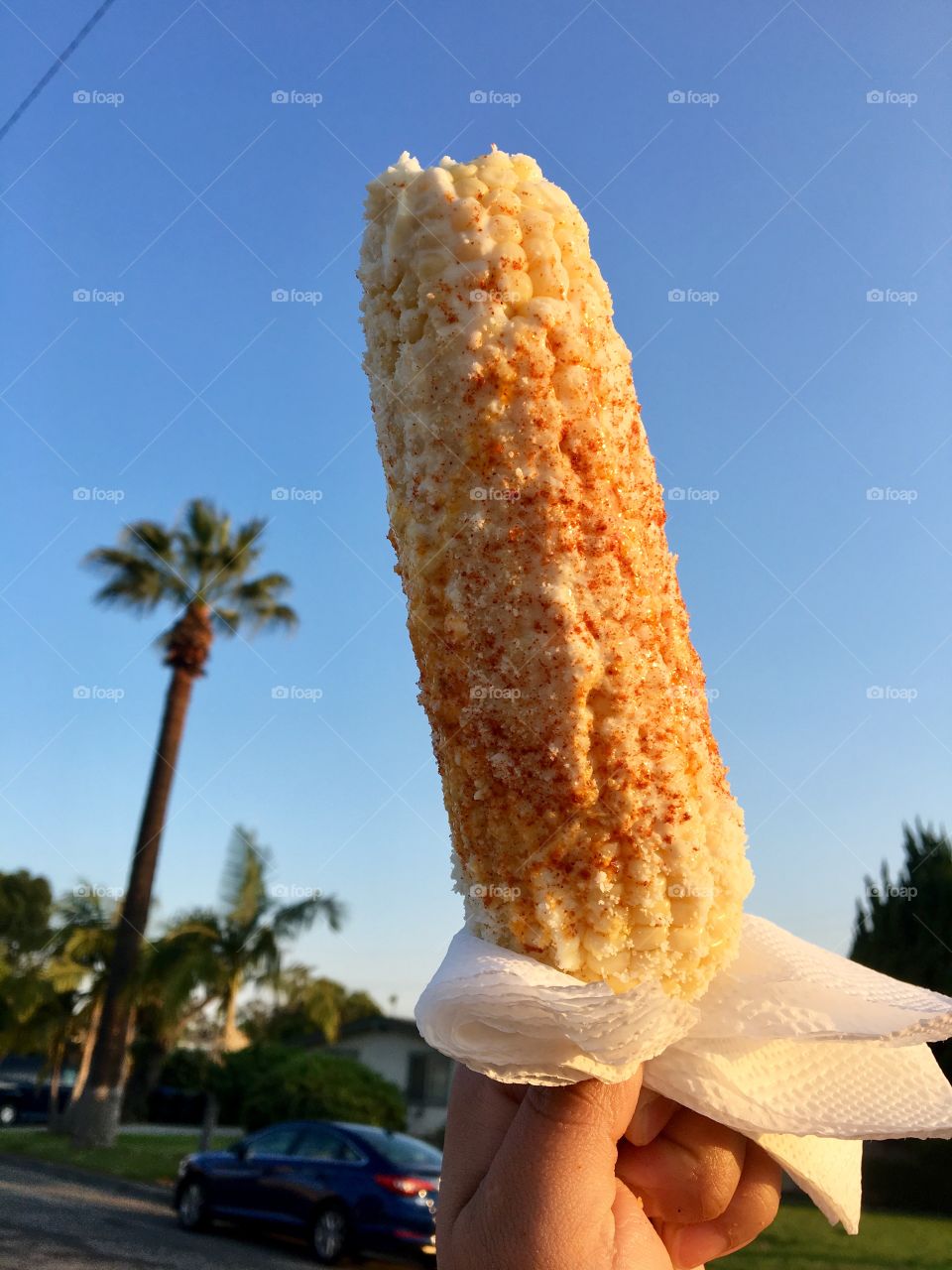 Elote 