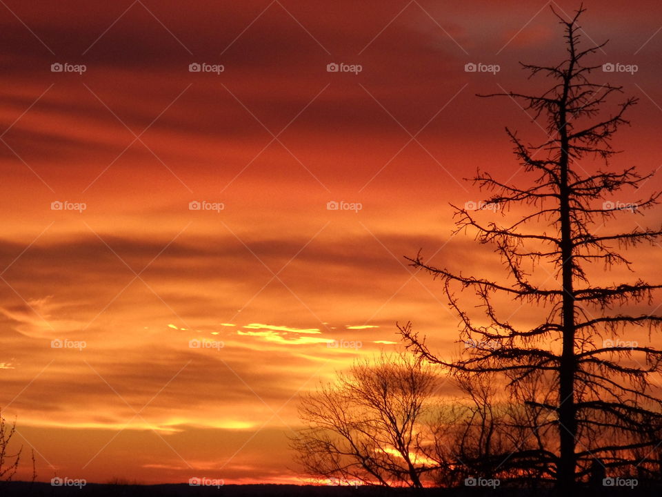 Amazing Colors Burning in the Sky