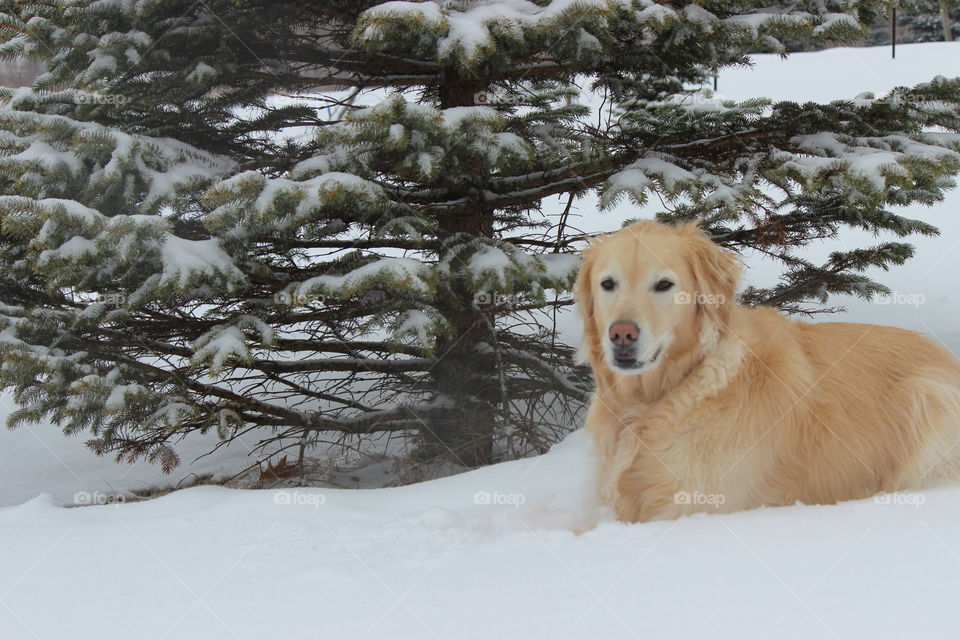 Kaci . January in Michigan