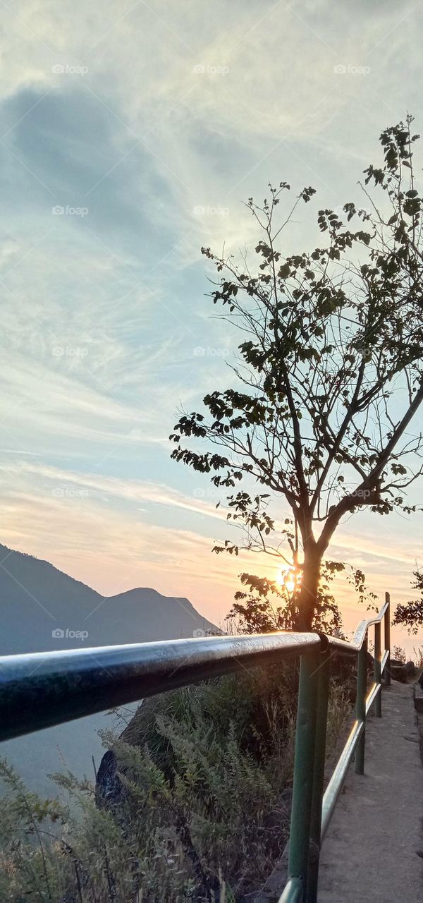 the nature combinations