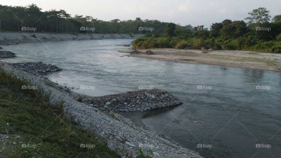 Torsha river at Jaldapara National park