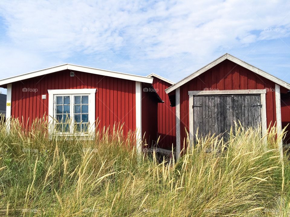 Red houses