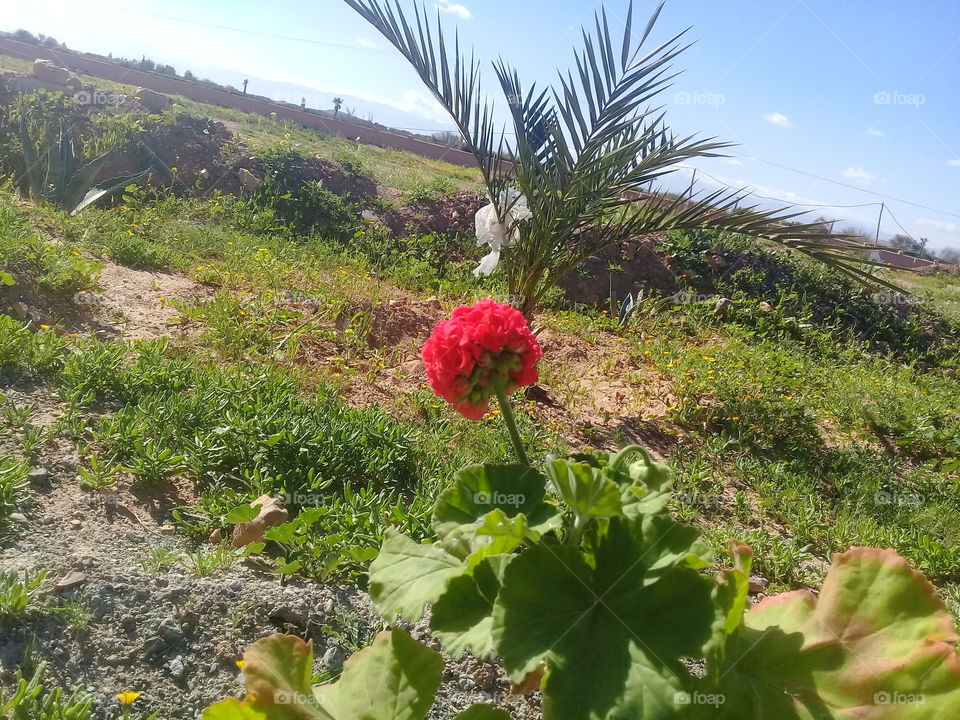 Don't be ashamed to weep; 'tis right to grieve. Tears are only water, and flowers, trees, and fruit cannot grow without water. But there must be sunlight also. A wounded heart will heal in time, and when it does, the memory and love of our lost ones is sealed inside to comfort us.