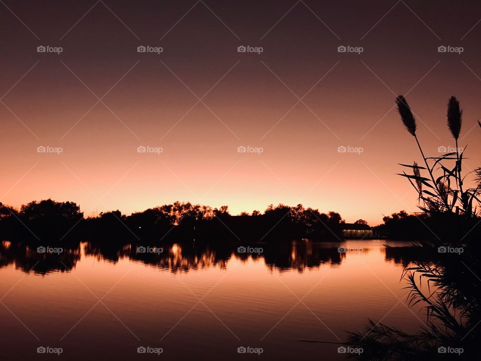 Twilight steal the show late into the Evening is casting a gorgeous colour which will stay focused even through Night. Twilight is deepening as the evening continues.