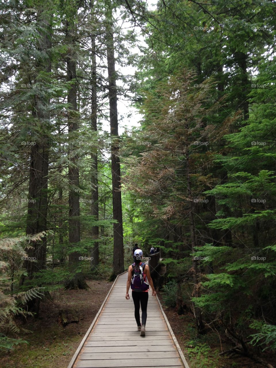 Hiking Redwood Trail Glacier 