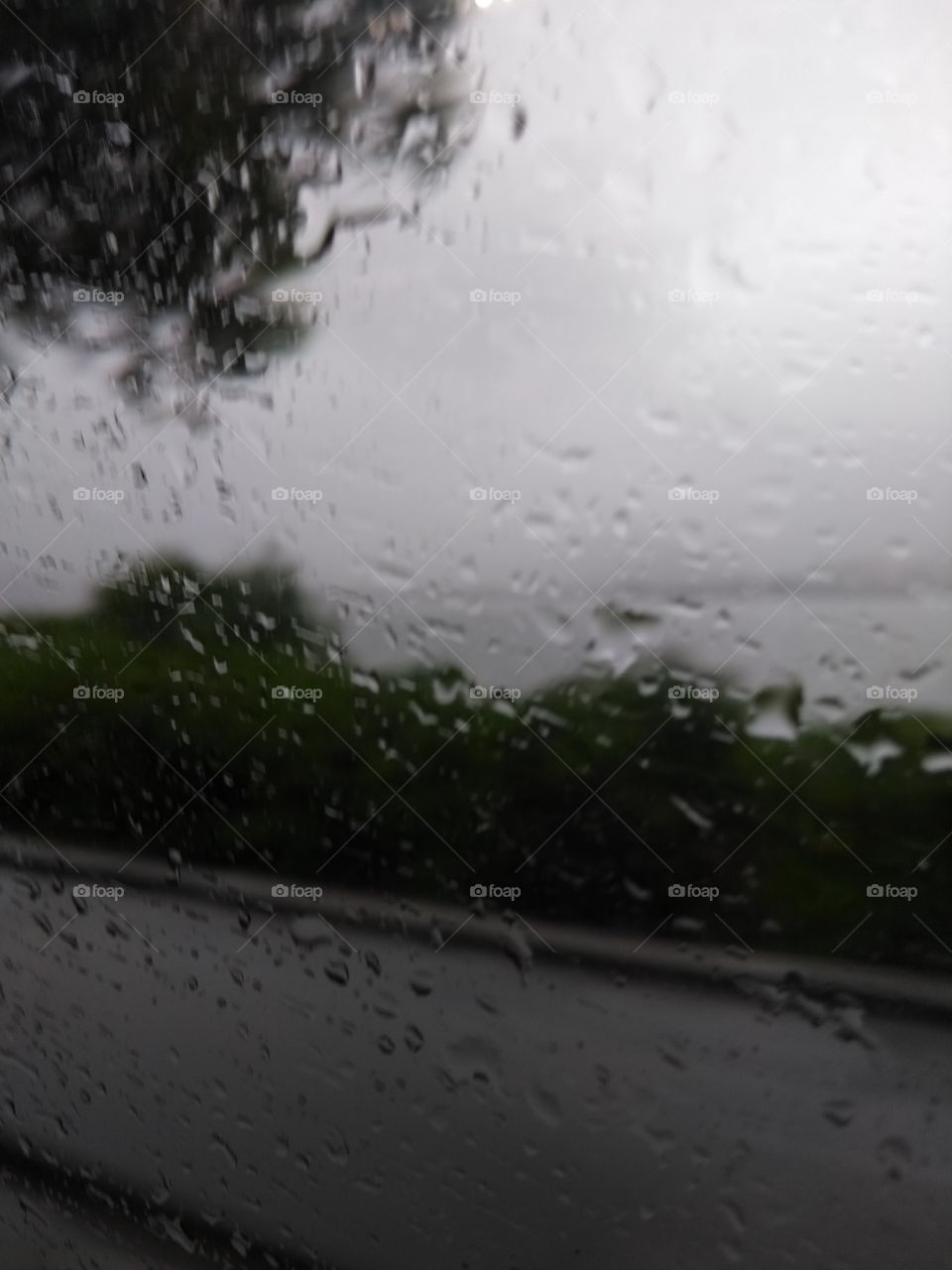 rain