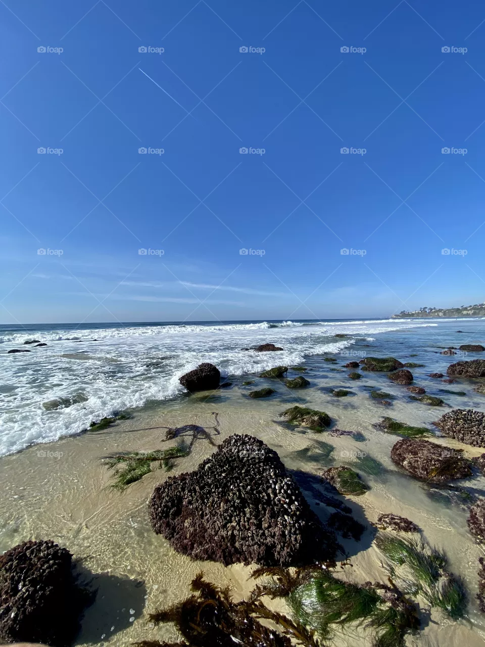 Salt Creek Beach 