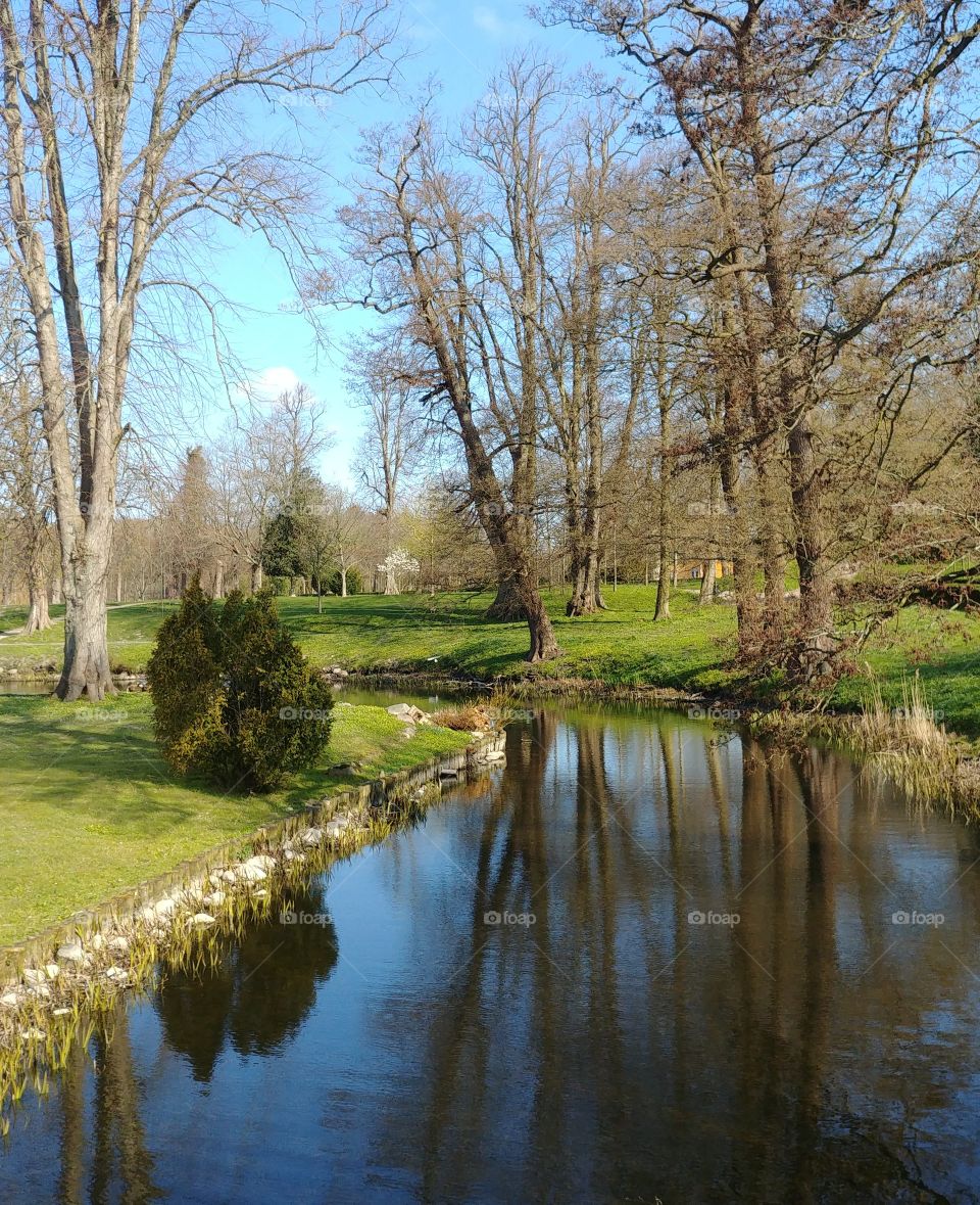 see bach Fluss Ruhe parl Anlage Frühling