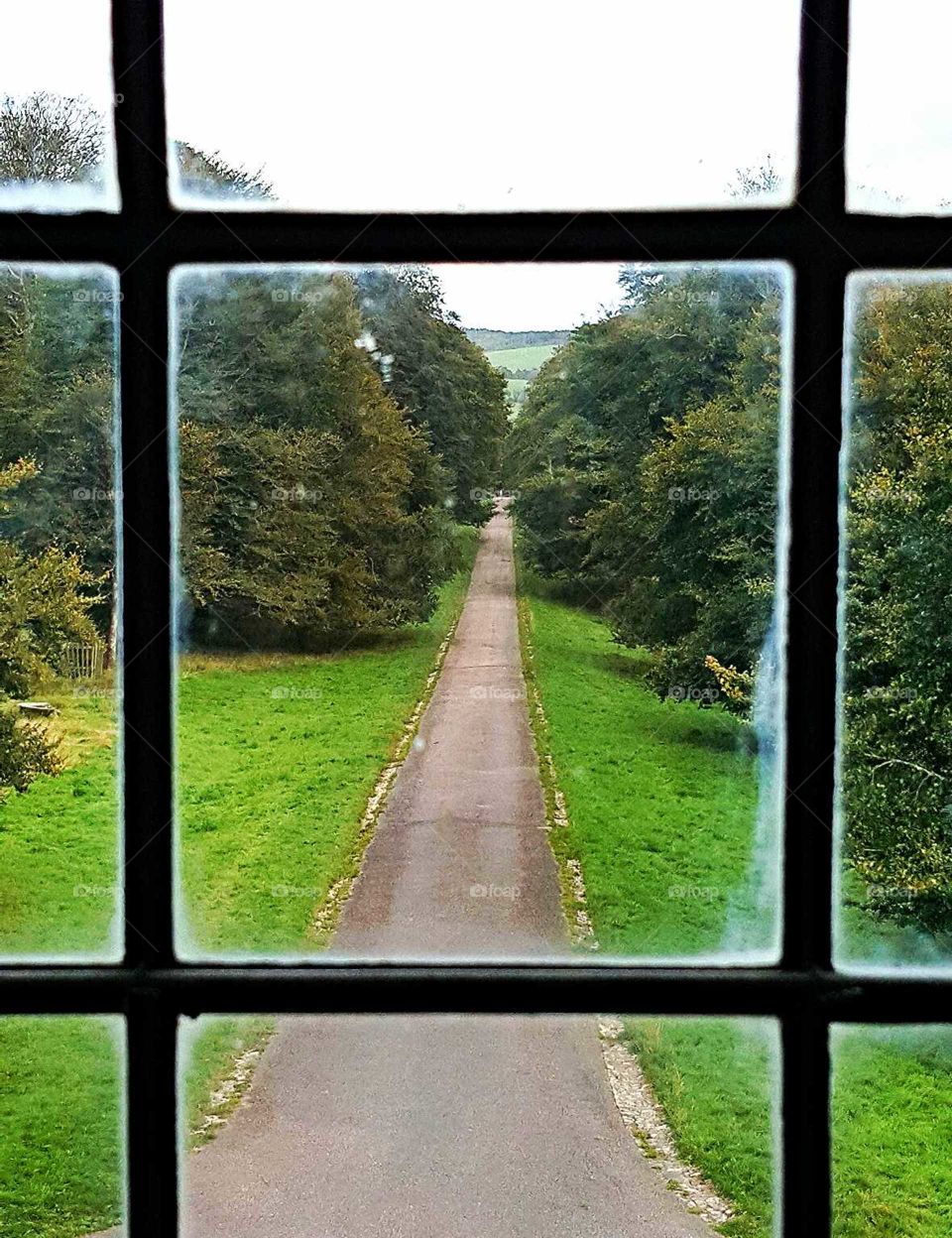 Path through window