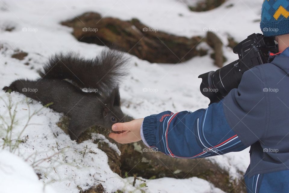 Squirrel Eating A Nut From Kid's Hand