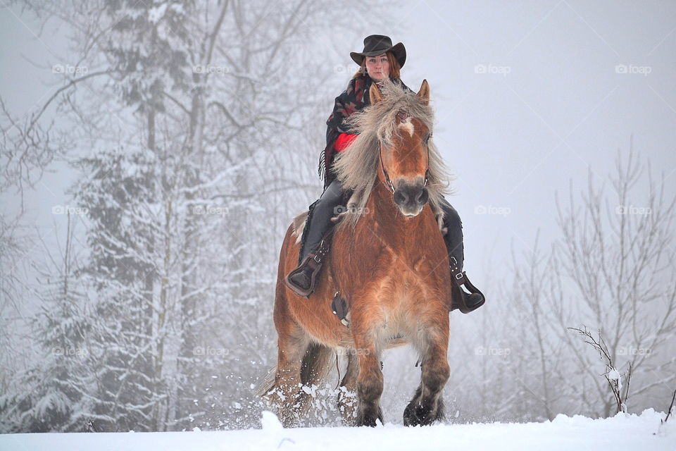 Horse and a rider