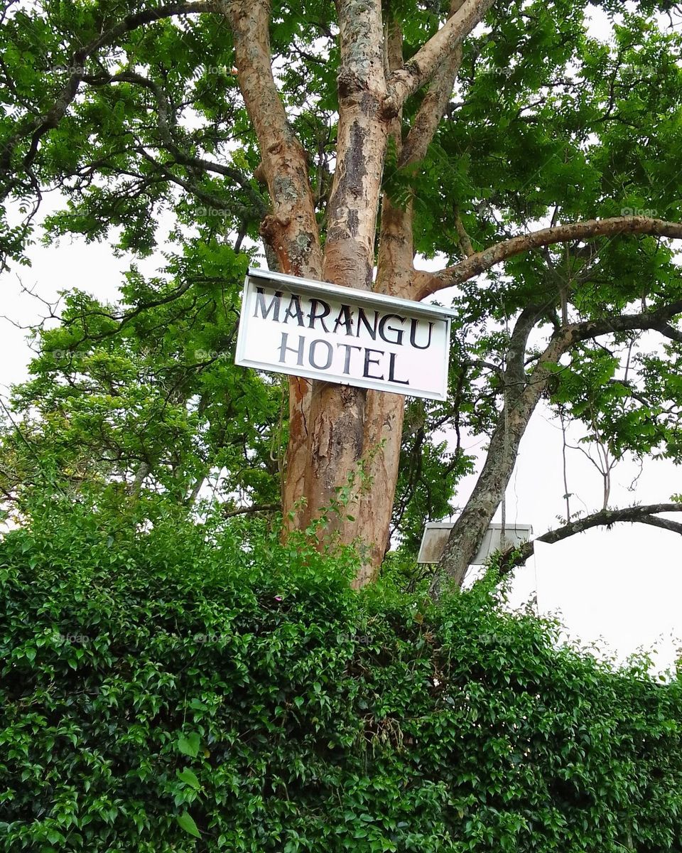 Marangu Hotel