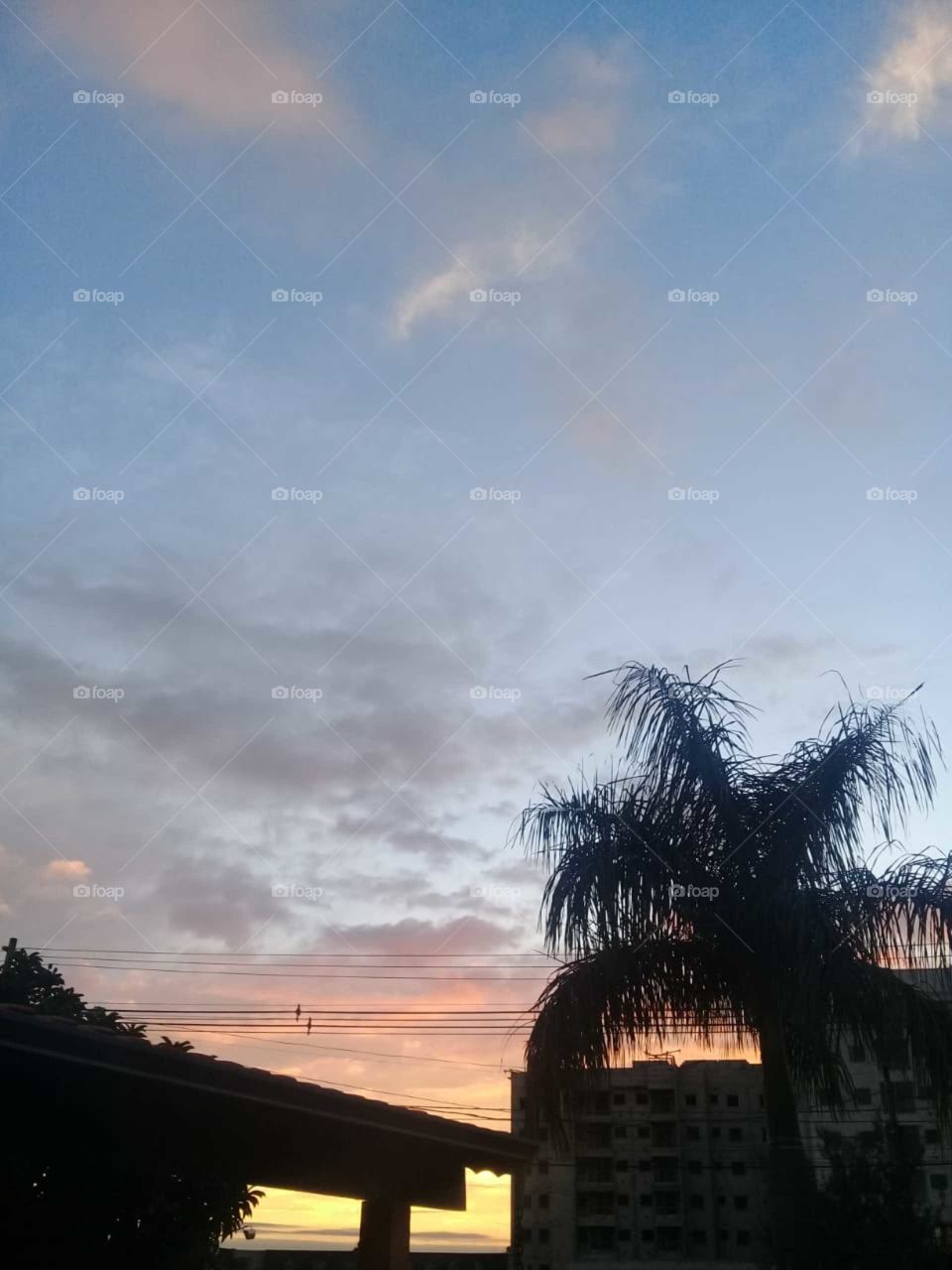 🌅Desperte, #Jundiaí.
Que a #QuintaFeira possa valer a pena!
🍃
#sol #sun #sky #céu #photo #nature #morning #alvorada #natureza #horizonte #fotografia #pictureoftheday #paisagem #inspiração #amanhecer #mobgraphy #mobgrafia #AmoJundiaí