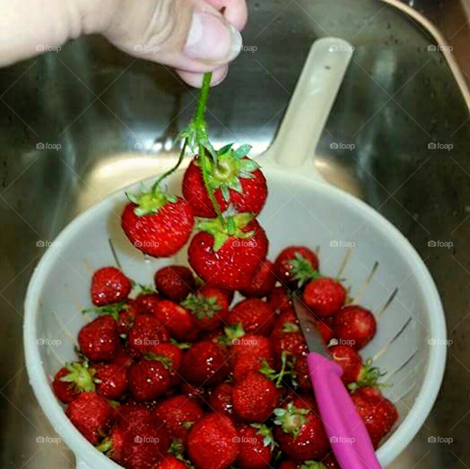 Freshly picked strawberries!