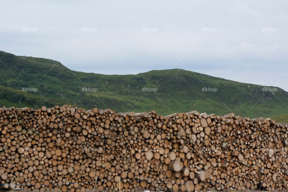 Log Pile