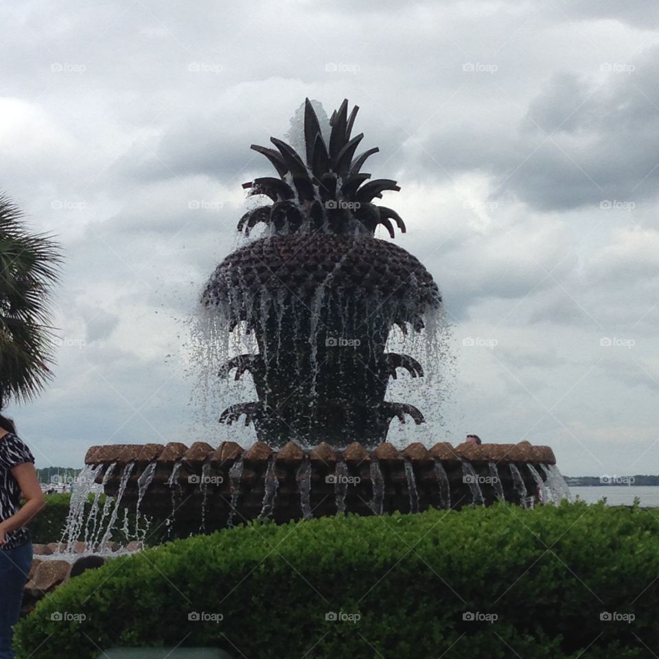 Charleston fountain. Pineapple fountain at charleston's water front park. 
