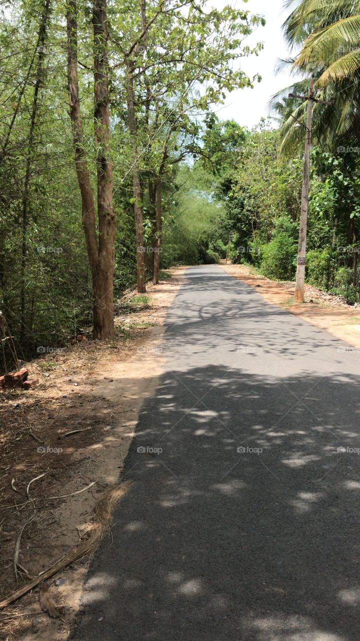 Bike ride on the road with good environment (full of trees and looks green)