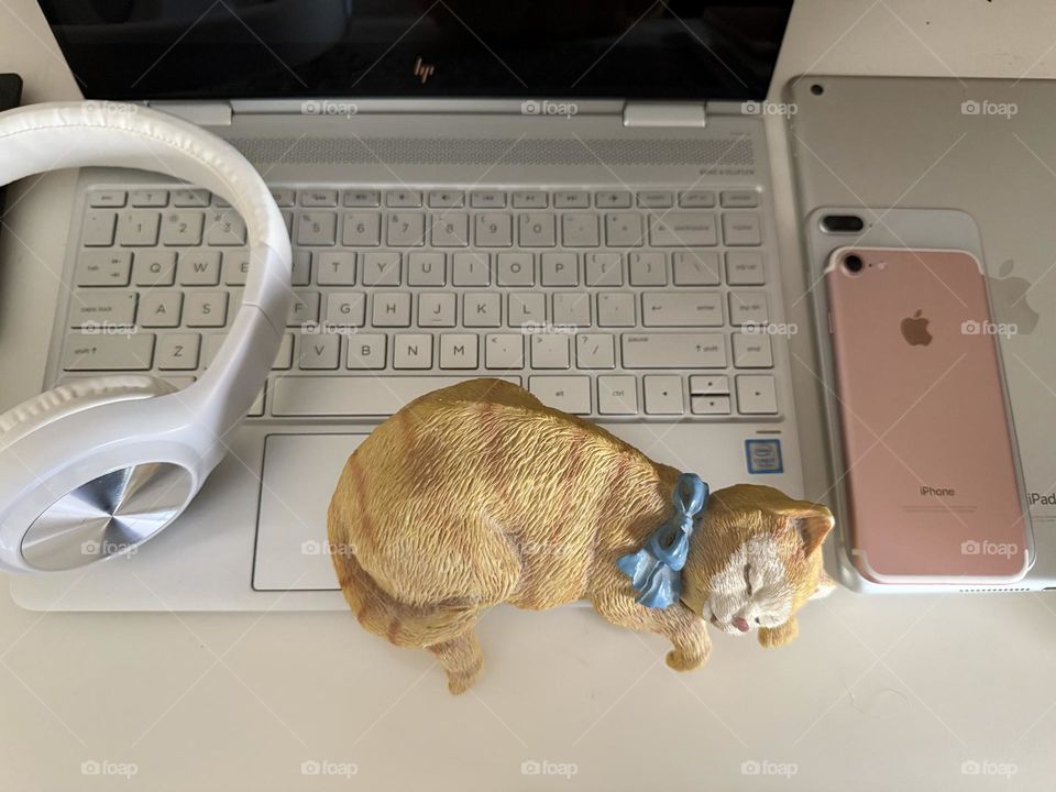 What tidy desks do while you sleep, kitty on laptop 