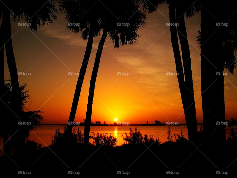 Beautiful Florida views. 