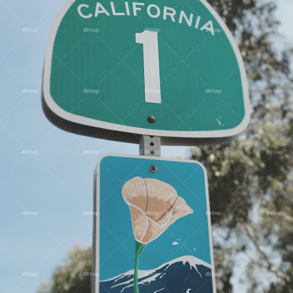 A scenic route sign and California Highway 1 sign depicting some of the state’s beauty. 