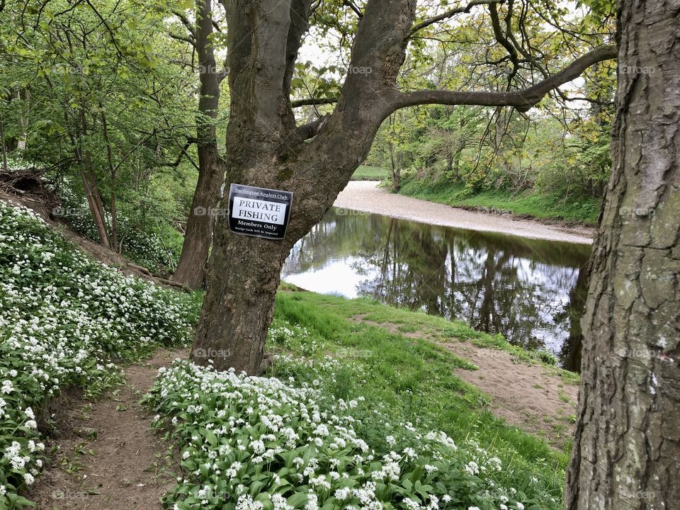 Private Fishing sign by order of the Darlington Anglers Club along the  “Fisherman’s Path”