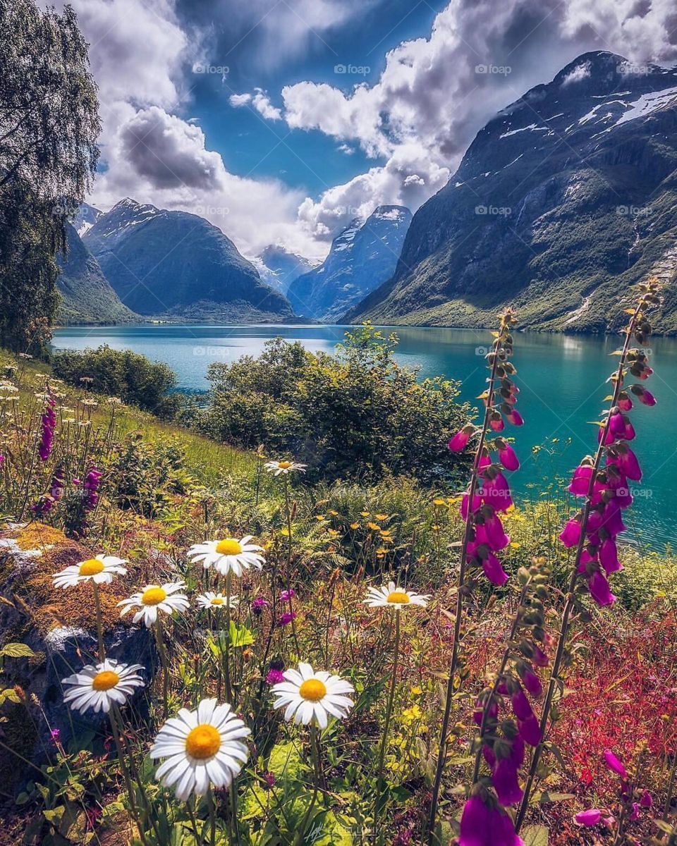 Summer can be beautiful in Norway 🌷