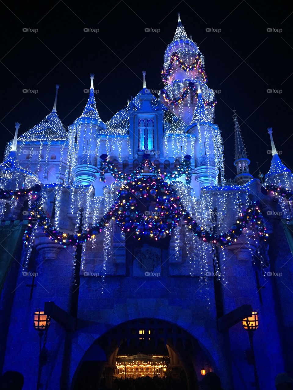 the most magical castle. 
