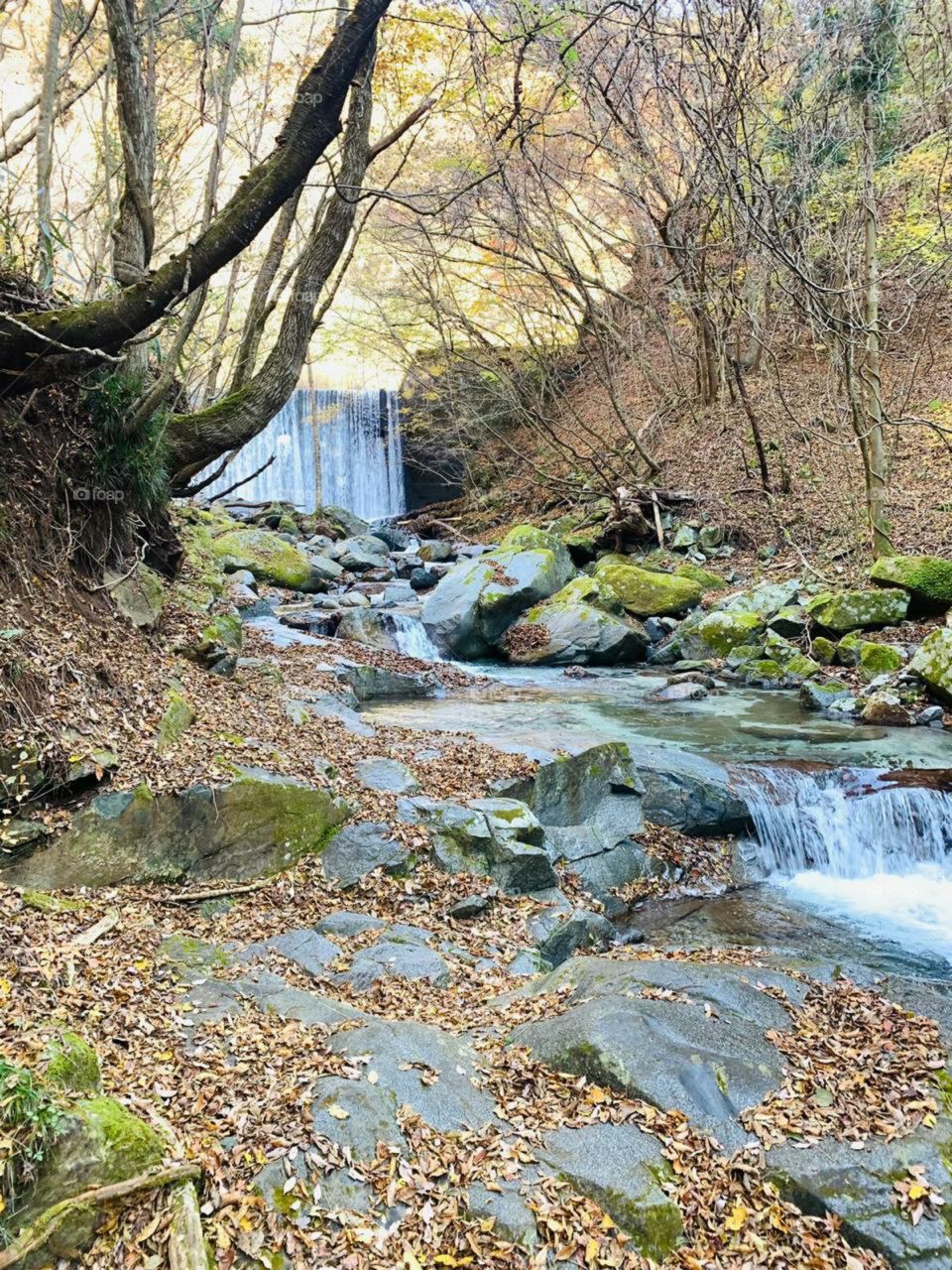 amazing natural waterfall in the forest