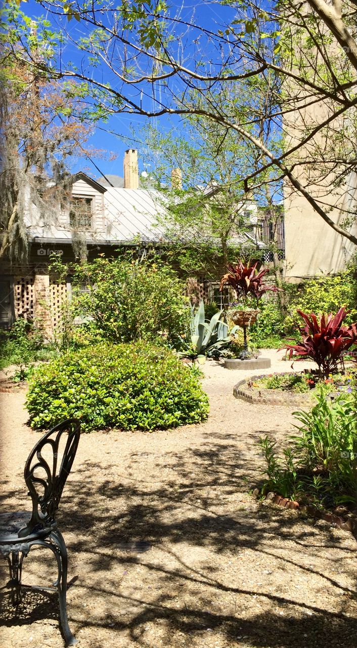 Courtyard Garden