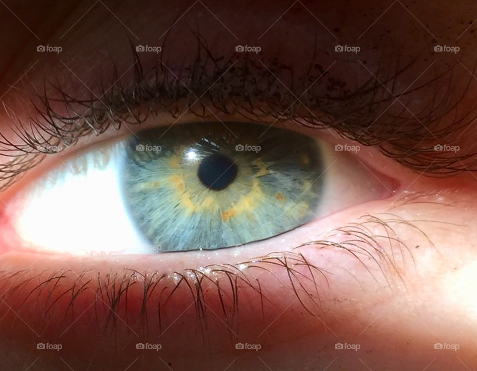 Close Up of Blue Eye