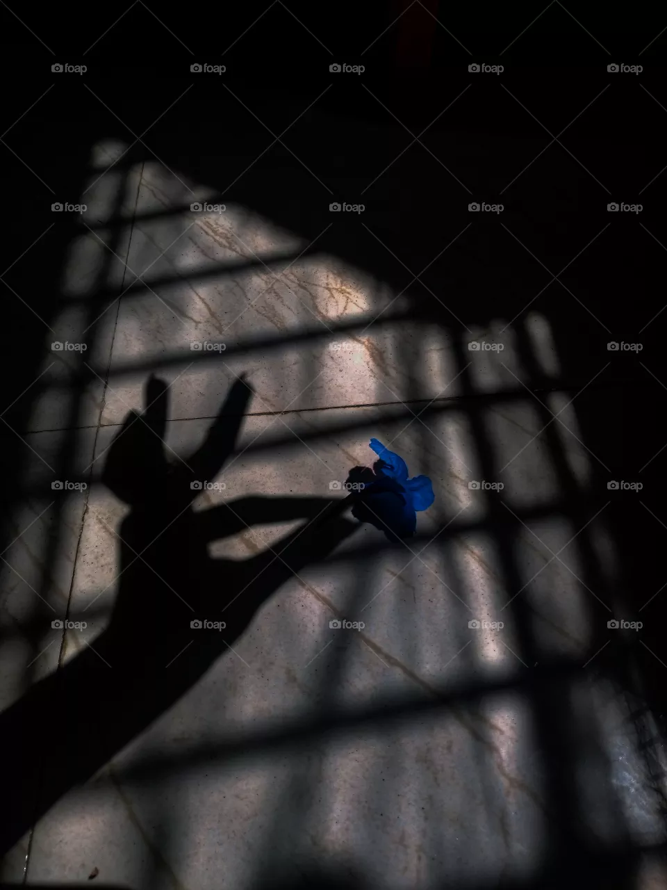 Shadow🌹❤️