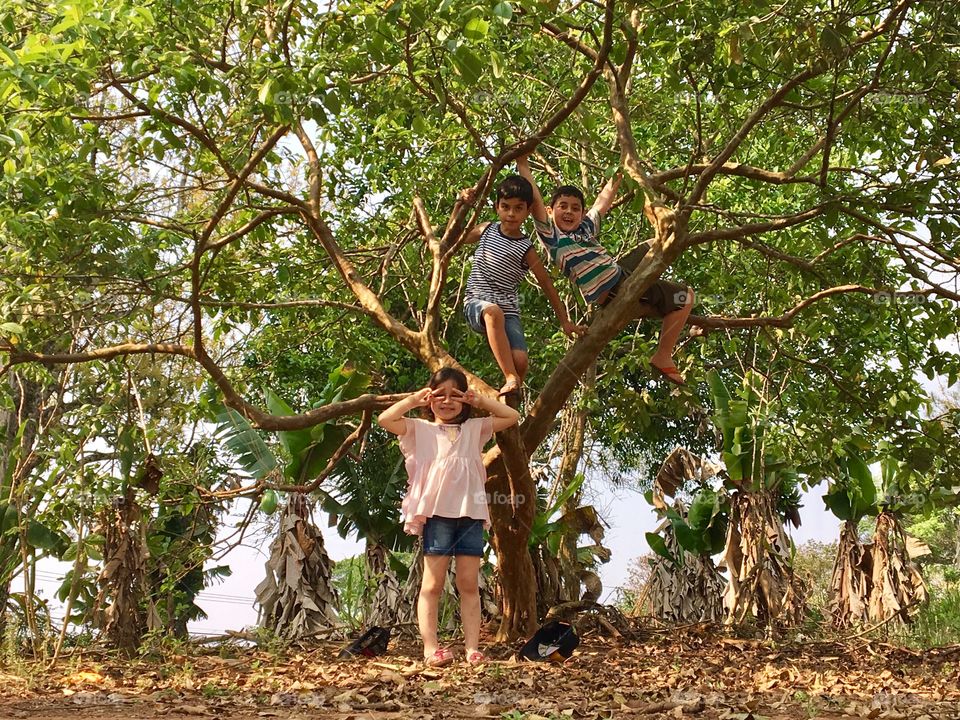 Group of friends climbing tree