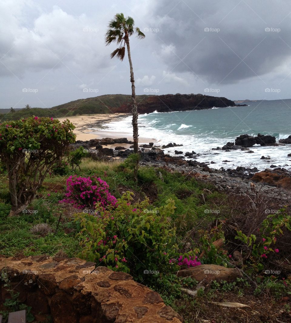 Molokai. Island of Molokai