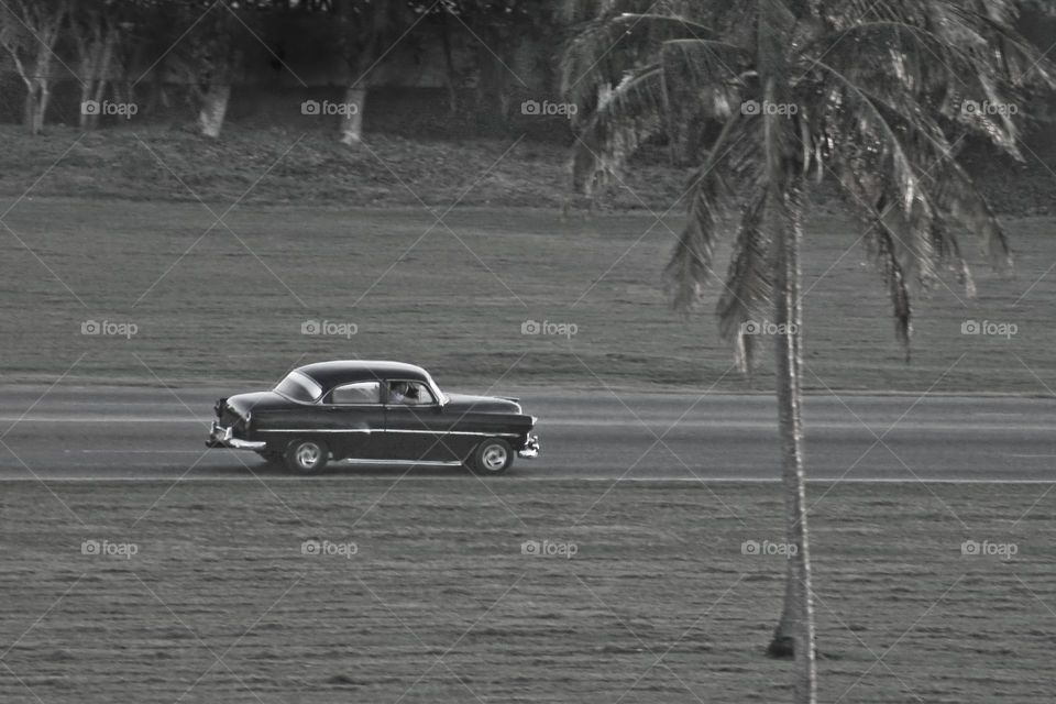 1950 car driving down the road lbs tropical island