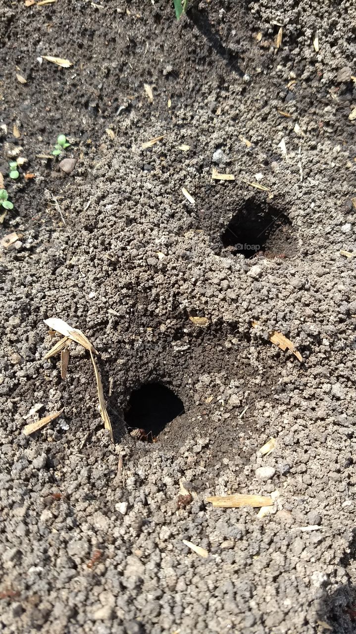 Soil, Ground, Make Hole, Hole, Ball Shaped