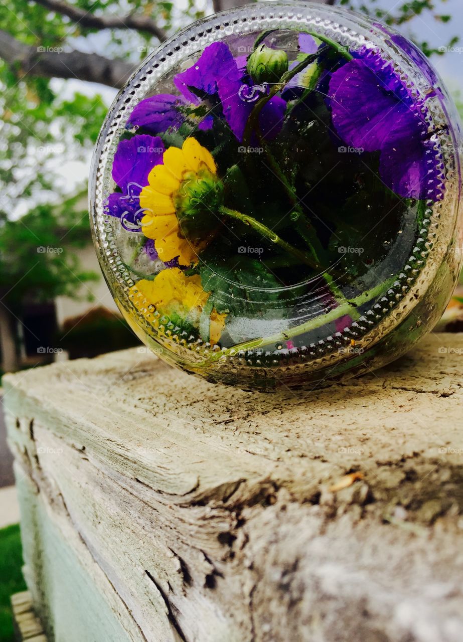 Flowers in Glass
