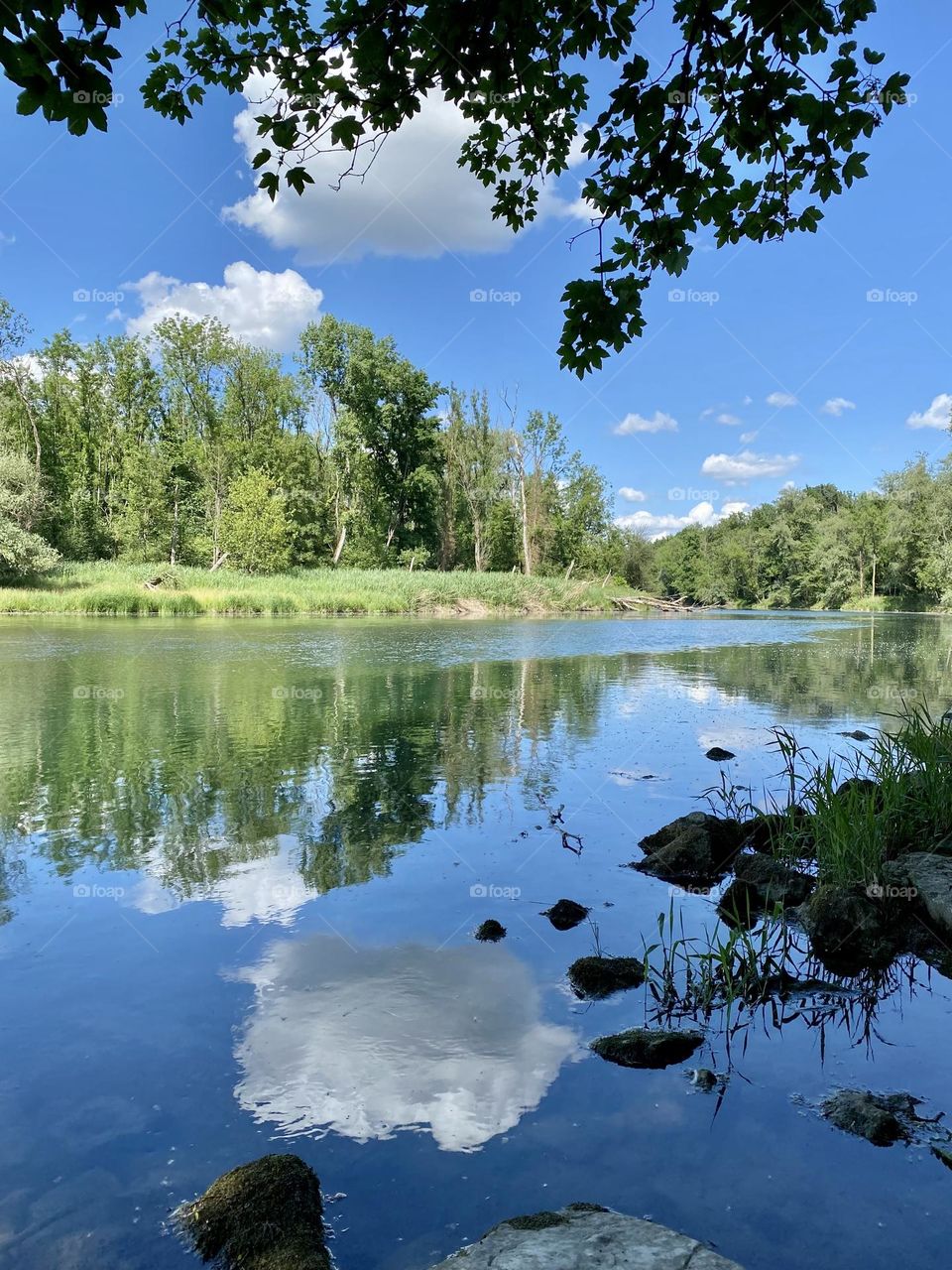 water landscape grass and clouds