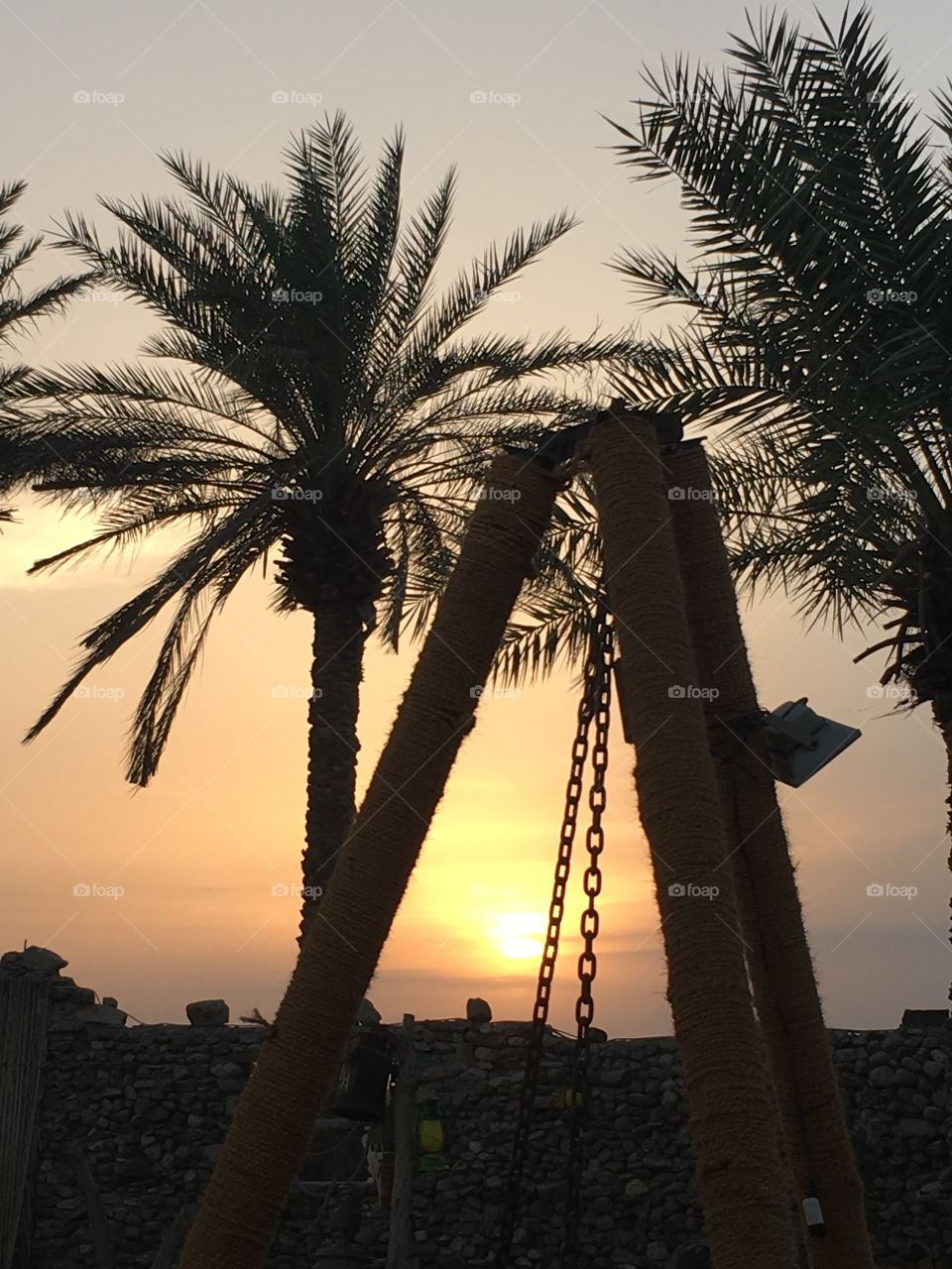 Beach, Palm, No Person, Island, Tropical